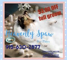 Hot paws pet resort offers pet grooming, pet boarding and pet day care services for your all your pets. Heavenly Spaw For Paws 13650 Eastlake Dr Ste A 105 Horizon City Tx Pet Grooming Mapquest