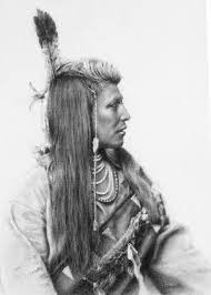 Shoshone Indien Americains D Origine Indien Amerique Und Native Americain