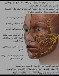 مركز حماة للعلاج الفيزيائي