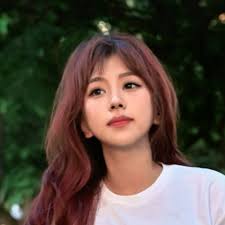 duke du Introduction and Work History_RootData