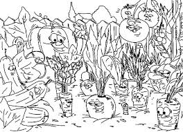 We have collected 38+ vegetable garden coloring page images of various designs for you to color. Vegetables Garden Coloring Pages Color Luna
