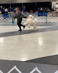 💜 Pageantry Summit Purple Everlasting TKN 💜 (Wren) turned 7 months old