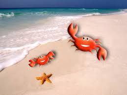 Image result for ΚΑΒΟΥΡΆΚΙ