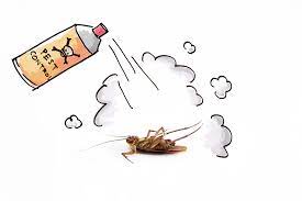 At dependable pest service, our pest control specialists have more than 40 years of experience in this industry. Dependable Pest Solutions Pest Removal Rochester Nh