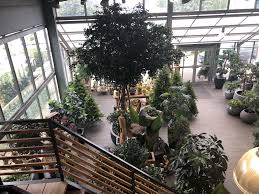 Bella Planta Kunstpflanzen Und Kunstbaume Startseite Kunstpflanzen Pflanzengestaltung Pflanzen