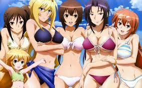 Anime Review: Sekirei and Sekirei: Pure Engagement | YuriReviews and More