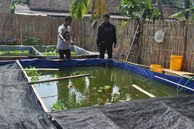 Nama Jenis Usaha Dan Sumber Gambar Ar Production