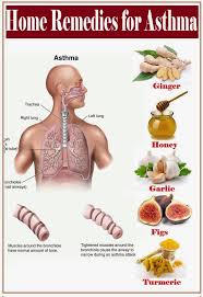 16 Diy Home Remedies For Asthma Home Remedies For Asthma Health And Nutrition Natural Health Tips