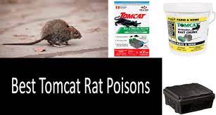 Tomcat Rat Poison Effectiveness 2021 Buyer S Guide