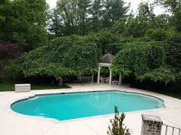 Beautiful Pools In 2020 Beautiful Pools Pool Outdoor