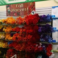 Not all trees have flowers. Dollar Tree Fort Myers Fl