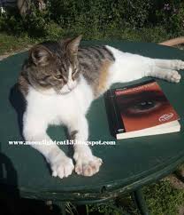 Moonlightcat13 Gecenin Oteki Yuzu Furuzan Eskiden Okuduklarim Cok Sirin Hayvanlar Gece Kitap