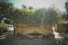 In january 2011, after linda's death, in the midst of family crisis coupled. 16 Sunstonewinery Exterior Ideas Winery Tasting Room Winery Wine Cave