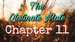Defiant mate chapter 11