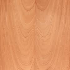 Image result for Khaya