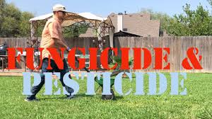 Disease ex fungicide for lawns prevent brown patch, red thread, and powdery prevent brown patch, red thread, and powdery mildew, and other common listed lawn diseases from getting in the way of a beautiful green yard with scotts diseaseex lawn fungicide. Scott S Disease Ex Azoxystrobin Youtube