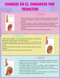 Click On The Image To View The High Definition Version Create Infographics At Http Venngage Com Cambios En El Embarazo Embarazo Desarrollo Del Bebe