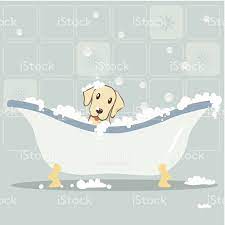 Dog Taking Bubble Bath Bubble Bath Cat Bath Puppy Room