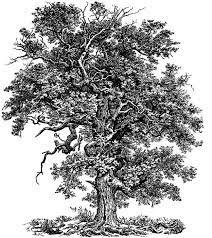 Looks like you worked really hard. Pin On Trees