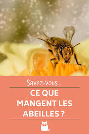 Que Mangent Les Abeilles Guide Complet Sur La Nourriture De L Abeille En 2020 Abeille Insectes Abeilles Sauvages