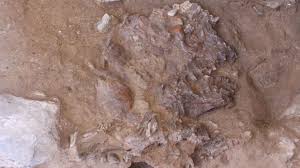 Image result for Extraordinary Neanderthal skeleton found at famous burial site could finally answer ancient DEATH-RITES question