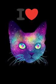 If you're in search of the best cool animals wallpapers, you've come to the right place. Cool Animals Home Facebook