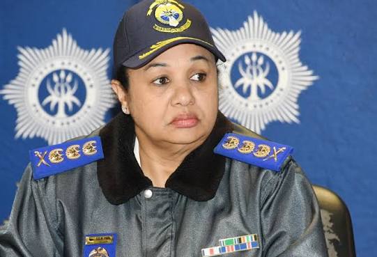 Another ridiculous thing Commissioner Faro mentioned yesterday was how they are managing the insourcing of security employees. She was asked by Commissioner Baloyi that since the City is spending close to R2.9