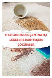 halidaki lekeler nasil cikar kullanilan pratik yontemleri ve gerekenleri halilar tukenmez kalem hali