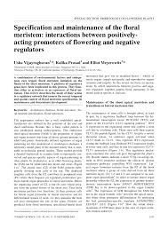 Magda, our lead florist, has over 15 years of. Pdf Specification And Maintenance Of The Floral Meristem Interactions Between Positively Acting Promoters Of Flowering And Negative Regulators