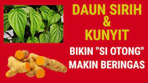 Manfaat menarik lainnya dari daun sirih yaitu, daun sirih dapat menjaga kesehatan jantung. Wajib Dicoba Si Otong Makin Beringas Setelah Minum Ini Youtube