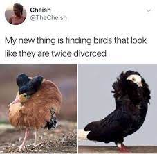 Pin On Humor