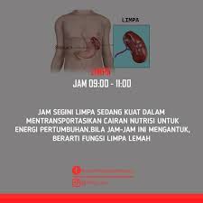 We did not find results for: Dokter Fb Jam Kerja Organ Tubuh Manusia Facebook