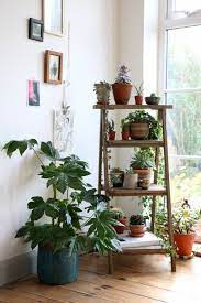 planting box for tomatoes building instructions to build yourself 1 2 do com your he welc living room plants plant decor indoor house plants indoor