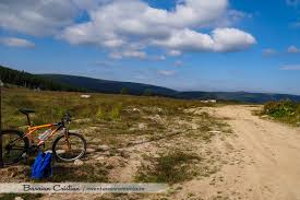 Maybe you would like to learn more about one of these? Ture Pe BicicletÄ Muntele Mare Cu Bicicleta Aventura In Romania