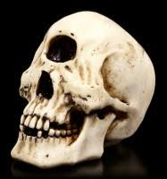 35 elephant skull stock video clips in 4k and hd for creative projects. Cyclops Skull Figurine Www Figuren Shop De