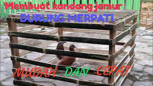 Cara membuat sangkar perkutut atau sangkar anggungan. Cara Membuat Kandang Jemur Burung Merpati Youtube