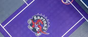 Последние твиты от sporting solutions (@sportingsols). Total Sport Solutions Inc Project Photos Reviews Oakville On Ca Houzz