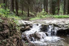 Im urlaub in bad münstereifel wandern sie durch schmale, verwinkelte gassen, die von stolzen bürgerhäusern und aufwendig restaurierten fachwerkhäusern gesäumt werden. Eifelspur Munstereifelsteig Wandern Eifel