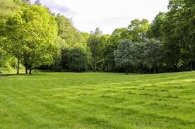 We did not find results for: What You Need To Know Before Clearing Land To Build Your Home