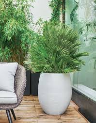Cache Pot Tres Haut Selection Bambou En Pot Salon De Jardin Pot Exterieur