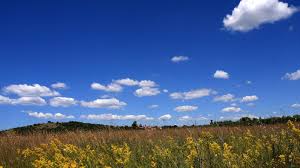 Leserfotos vom 16.07.