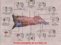 We did not find results for: Cortes De Res Argentina Tulomito