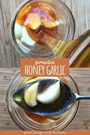 Pin On Fermented Food Recipes