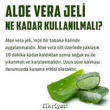 Aloe Vera Faydalari Nelerdir Aloe Vera Cilde Ve Yuze Surulur Mu Galeri Fikriyat Gazetesi
