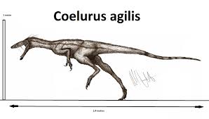 Coelurus Agilis By Teratophoneus Prehistoric Animals Ancient Animals Dinosaur Art