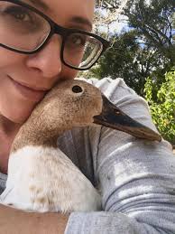 Worming chooks: treatment timing and alternatives