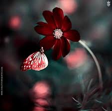 Valleys of snow capped mountains. 75 Best Dps For Whatsapp Profile Pic 2021 Emojis Cartoons Quotes