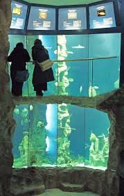 Diese aktuellen angebote stammen von maklern der region und sind übersichtlich dargestellt mit einer landkarte. Der Besuch Des Haus Des Meeres Ist Ein Beeindruckendes Erlebnis Und Lohnt Sich Besonders An Kalten Wintertagen The Haus D Public Aquarium Haus Aquarium