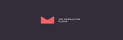 So you have launched the website, optimized it for search the ultimate newsletter plugin for wordpress that over 18,000 people from around the world are using to send emails. Newsletter Wordpress Plugin Wordpress Org