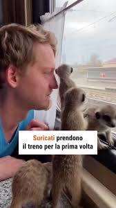 Giorgio Ferro (@giorgio.ferro14)